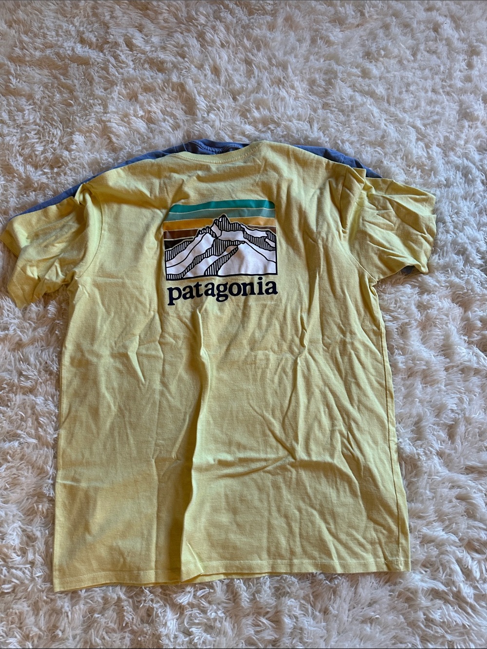 Patagonia Yellow Mountain Stripe Graphic Tee